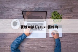 张维为被打/2020张维为